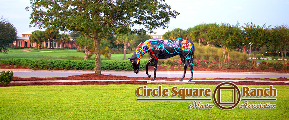 CSRMA in Ocala, Florida - On Top of the World Communities.